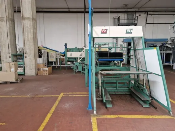 5#69013 Linea di selezione e confezionamento Ito/Sorma susine