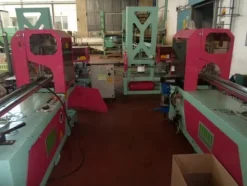 5#69013 Linea di selezione e confezionamento Ito/Sorma susine