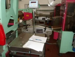 5#69013 Linea di selezione e confezionamento Ito/Sorma susine