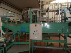 5#69013 Linea di selezione e confezionamento Ito/Sorma susine