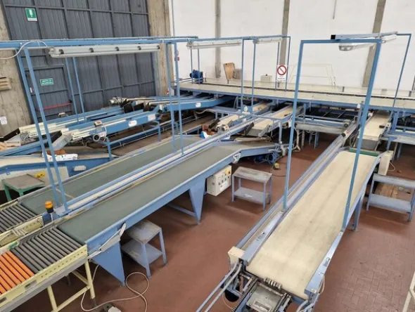 4#69013 Linea di selezione e confezionamento kiwi-pesche