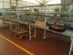 8#69013 Linea di selezione e lavorazione pere