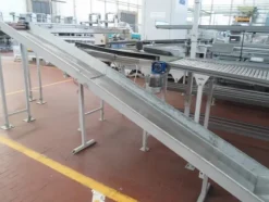 8#69013 Linea di selezione e lavorazione pere