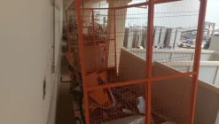 19#6465 Linea pallettizzazione Sotemapack