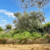 #24780 Lotti edificabili a destinazione residenziale