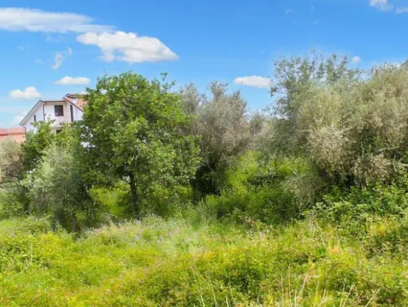 #24780 Lotti edificabili a destinazione residenziale