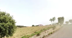 Lotti urbanizzati a Villanovafranca