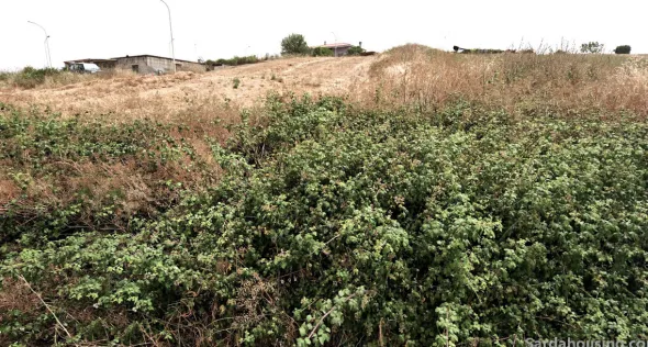 Lotti urbanizzati a Villanovafranca