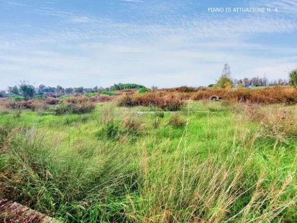 #24944 Lottizzazione residenziale e commerciale - Programma di attuazione N.1-2-3-4-5