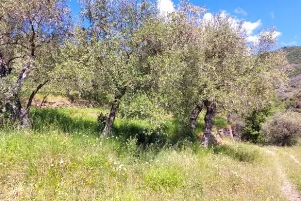 #24285 Lotto di terreno (porzione 6) in ex polveriera