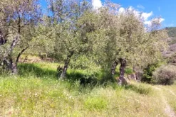 #24282 Lotto di terreno (porzione 3) in ex polveriera