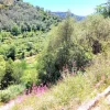 #24282 Lotto di terreno (porzione 3) in ex polveriera