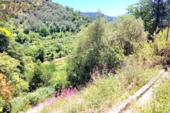 #24282 Lotto di terreno (porzione 3) in ex polveriera