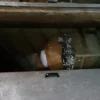 Macchinari ed attrezzature