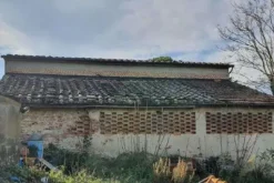 #24087 Magazzino al piano terra