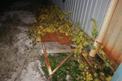 6#5843 Magazzino ricambi e macchinari per impianti di frantoio