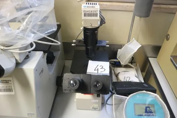 43#2541 Microscopio Nikon TMS