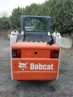 2#6950 Minipala cingolata Bobcat