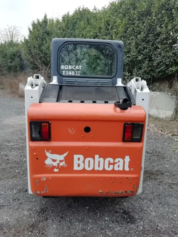 2#6950 Minipala cingolata Bobcat