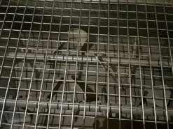 Miscelatore orizzontale Velati 500VR