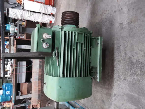 Motore elettrico