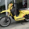 24#4134 Motorino Siam S Cross 50cc
