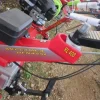 227#7089 Motozappa Benassi rl408