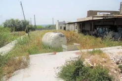 #2038 Opificio industriale con impianto fotovoltaico e terreno edificabile produttivo