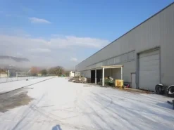 #3406 Palazzina uffici con capannone e terreni limitrofi