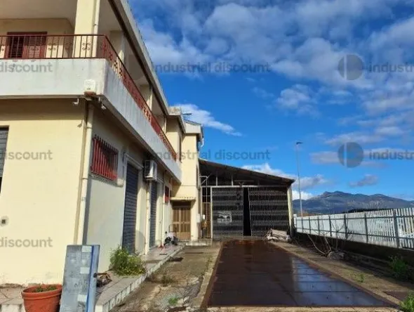 8#8846 Pesa esterna Coop. Bilanciai