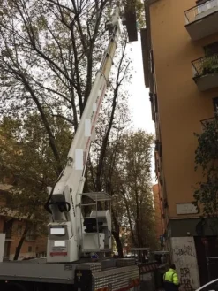 4#4679 Piattaforma aerea Multitel Pagliero MJ 37.5
