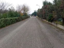 #2537304 Polo industriale e logistico con possibilità di ampliamento