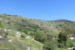 #20177 Porzione di montagna