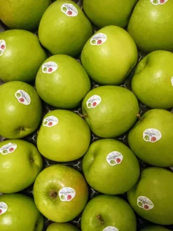 PRODUZIONE ESTRATTI VEGETALI per AGRICOLTURA BIO e NON