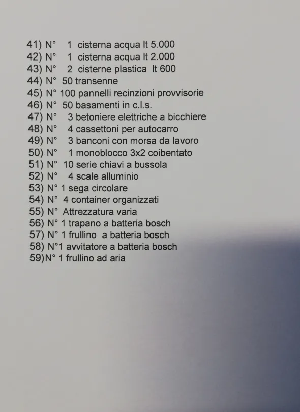 Ramo d'azienda-società