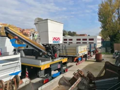 Ramo d'azienda-società
