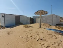 1#8275 Ramo di azienda avente ad oggetto l’attività di stabilimento balneare