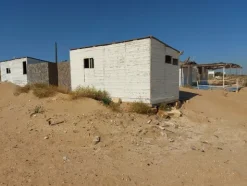 1#8275 Ramo di azienda avente ad oggetto l’attività di stabilimento balneare