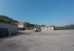 1#7771 Ramo di azienda dedita a commercio prodotti petroliferi