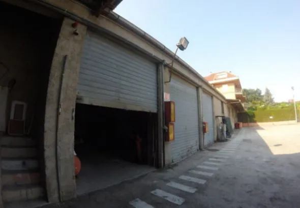 1#7771 Ramo di azienda dedita a commercio prodotti petroliferi