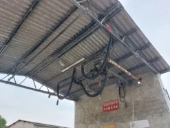 1#7771 Ramo di azienda dedita a commercio prodotti petroliferi