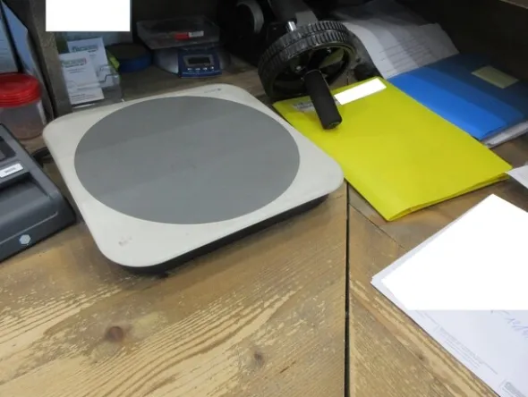 1#6040 Ramo di azienda dedita al commercio di articoli sportivi