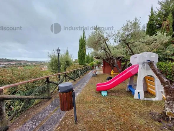 3#7775 Ramo di azienda dedita all'attività di ristorazione