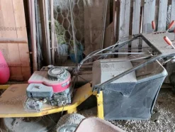 3#7775 Ramo di azienda dedita all'attività di ristorazione