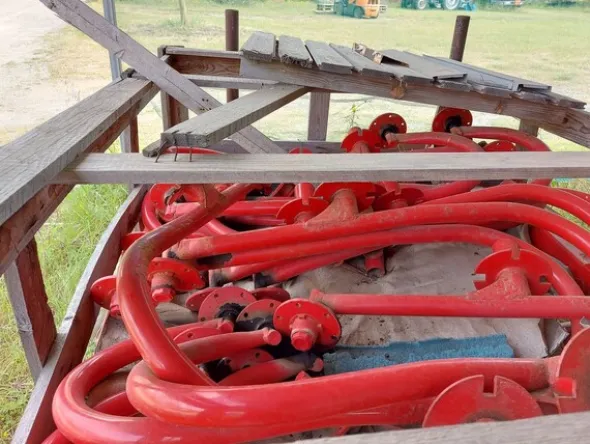 324#8349 Ranghinatore Rossi