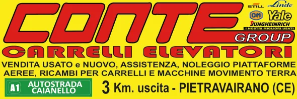 ROVESCIATORE IDRAULICO/BINS E PER CARRELLI ELEVATORI