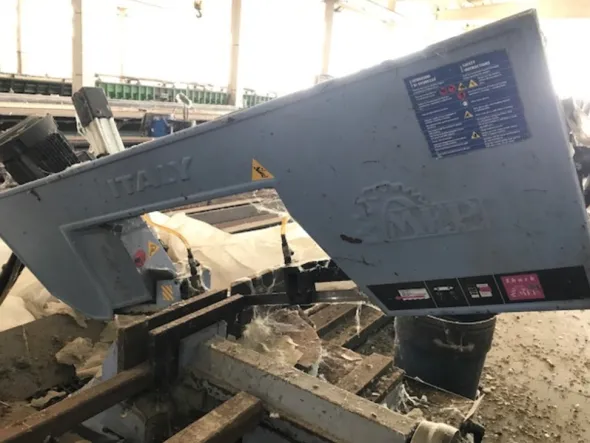 Segatrice MEP
