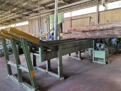 SEGA TRONCHI USATA - SECOND HAND SAWMILL