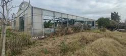 Serra agricola