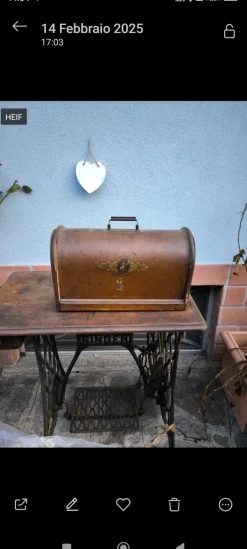 Singer vintage